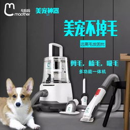 新东西宠物美毛神器 上市不到3个月销售超万台，营收超千万引爆宠物市场