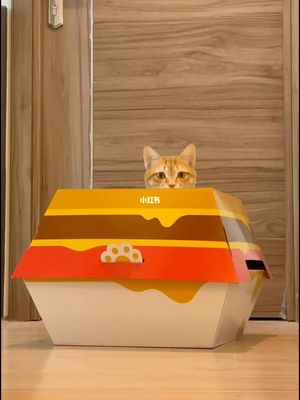 从萌宠到利润 揭秘宠物营销如何驱动品牌销售增长