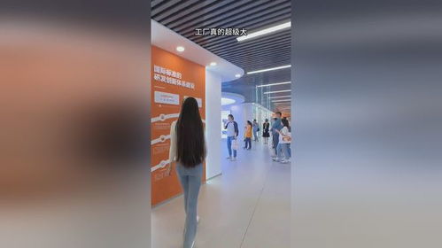 从乖宝到宠物食品巨头 一个中国品牌的崛起与创新之路