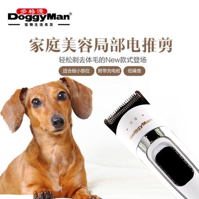 多格漫宠物店加盟费与宠物销售分析 投资与盈利的关键考量