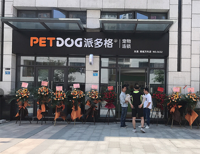 开宠物店核心知识指南 从宠物销售环节说起