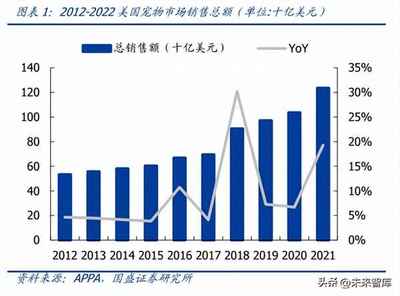 宠物经济崛起 中国宠物行业市场规模全解析与销售趋势洞察